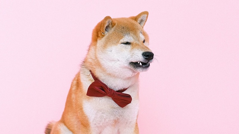 Solution: “The server was unable to save the form at this time. Please try again.” error for individual SharePoint users