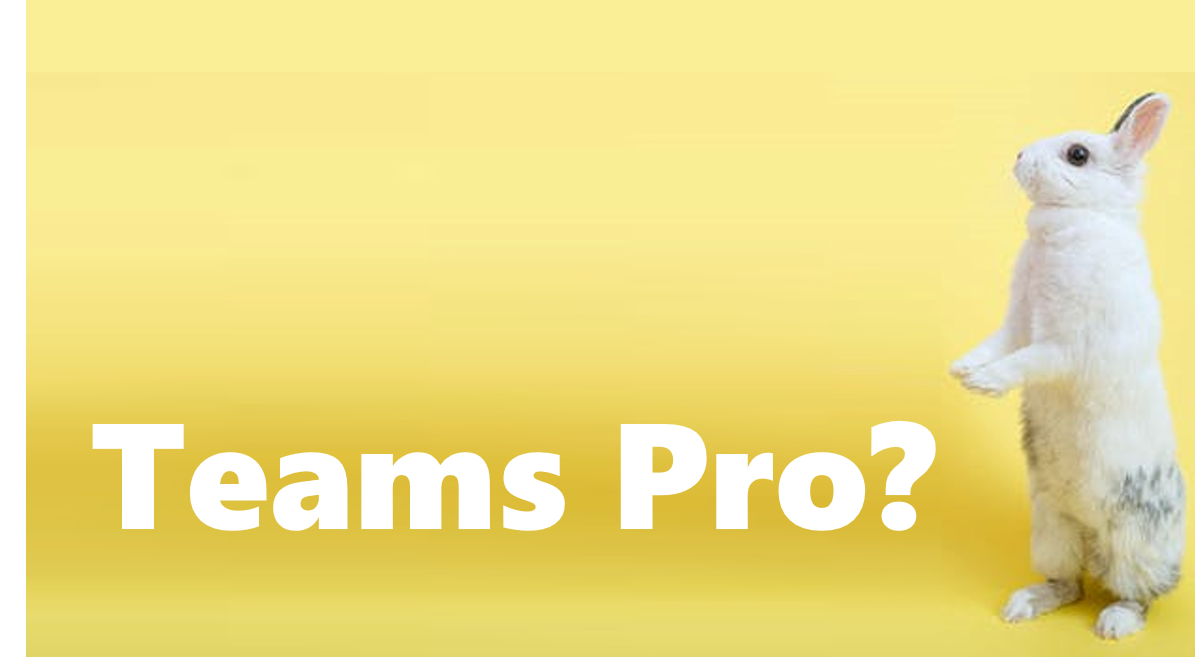 What is Teams Pro? A look at the latest M365 service plan